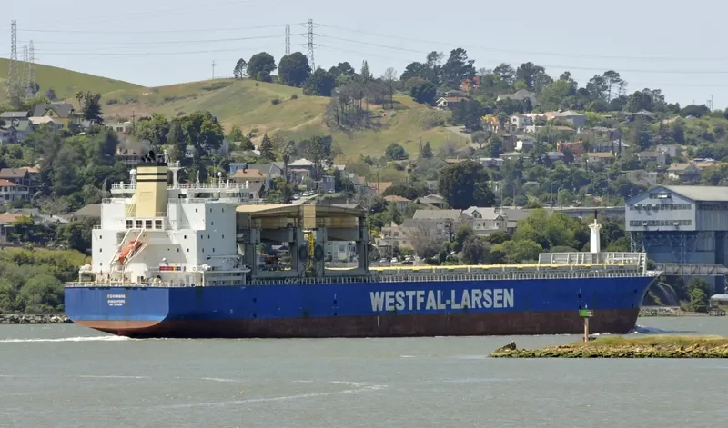 OSHIMANA Container Ship IMO 9249295 photo 7