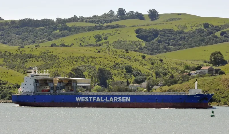 OSHIMANA Container Ship IMO 9249295 photo 8
