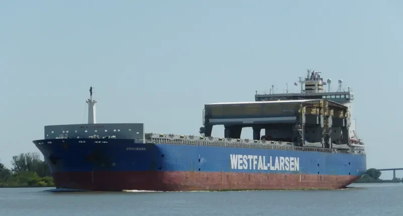 OSHIMANA Container Ship IMO 9249295 photo 9