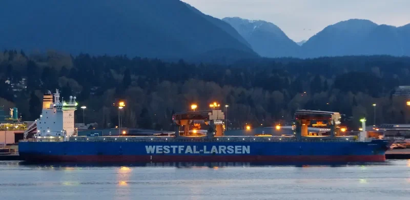 OSHIMANA Container Ship IMO 9249295 photo 10