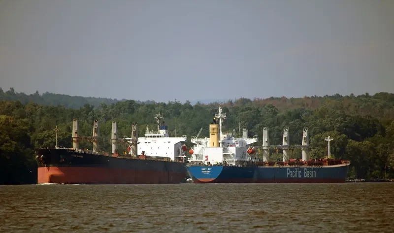 EMILIA Bulk Carrier IMO 9249300