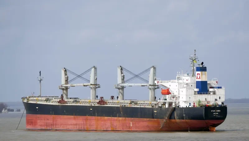 EMILIA Bulk Carrier IMO 9249300 photo 7