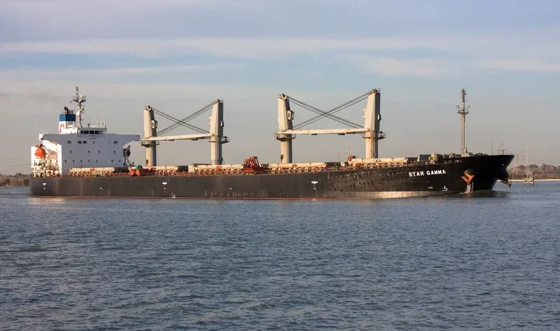 EMILIA Bulk Carrier IMO 9249300 photo 9