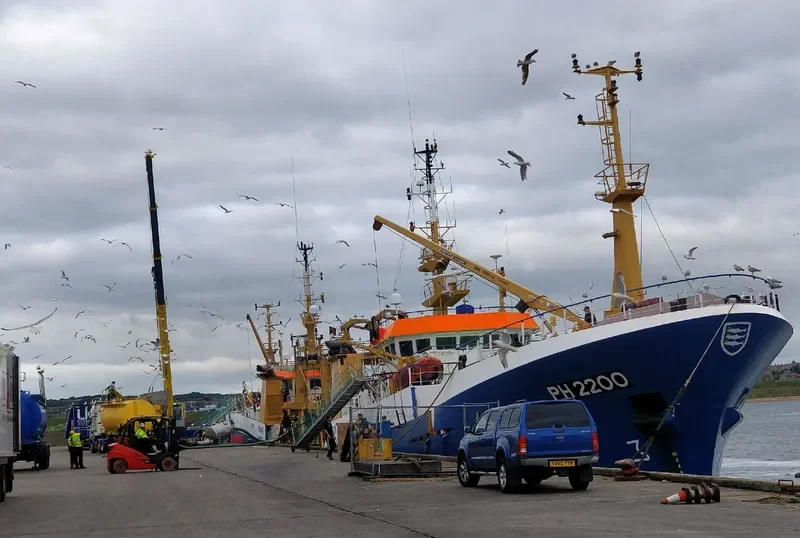 WIRON 6 General Cargo IMO 9249568 photo 2