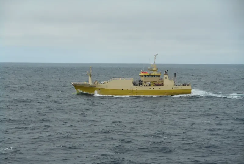 TAURANGA General Cargo IMO 9249714