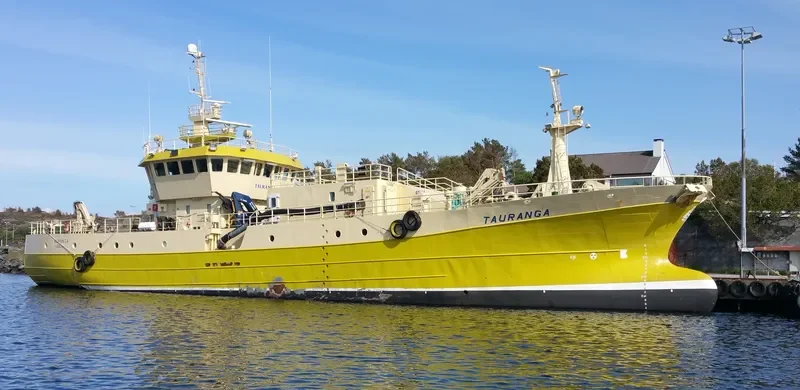 TAURANGA General Cargo IMO 9249714 photo 3