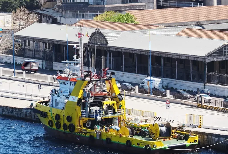 IEVOLI RED Offshore Vessel IMO 9249764 photo 2
