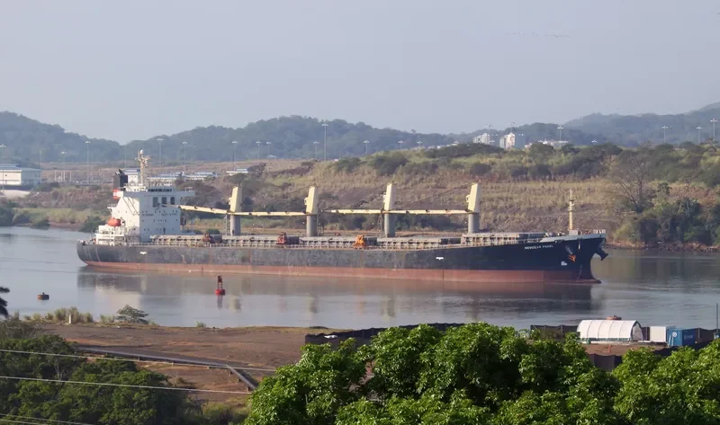 XIN HAI MING ZHU Bulk Carrier IMO 9249908 photo 2