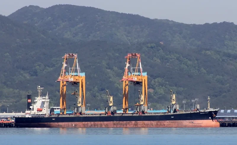 XIN HAI MING ZHU Bulk Carrier IMO 9249908 photo 3