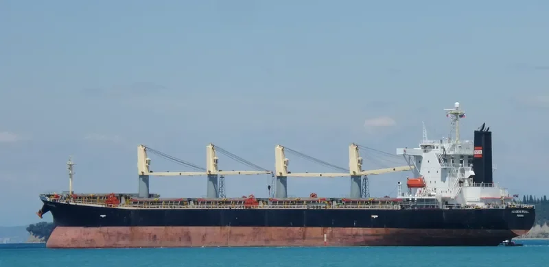 XIN HAI MING ZHU Bulk Carrier IMO 9249908 photo 6