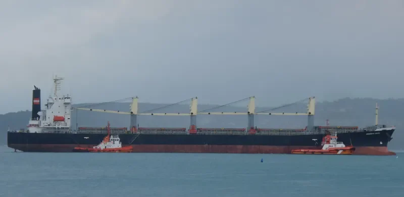 XIN HAI MING ZHU Bulk Carrier IMO 9249908 photo 9