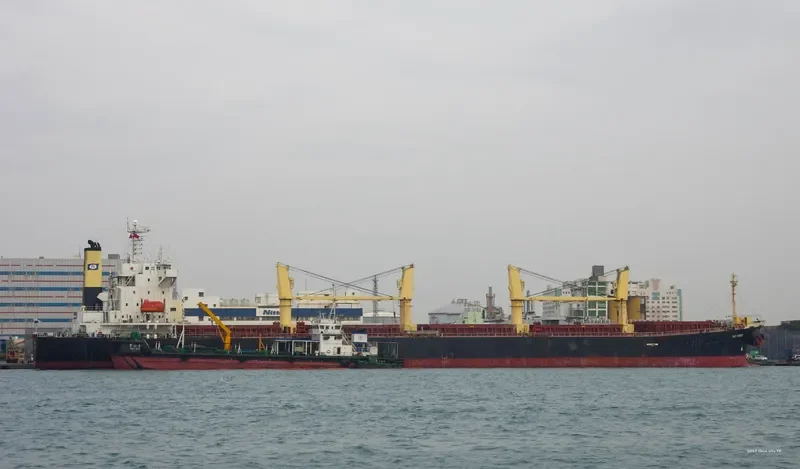 XIE HAI YONG NING Bulk Carrier IMO 9249910