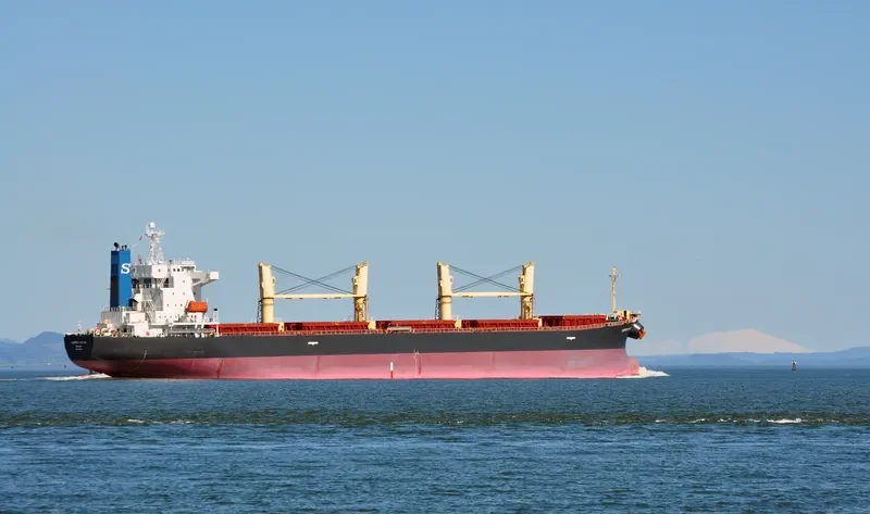 XIE HAI YONG NING Bulk Carrier IMO 9249910 photo 3