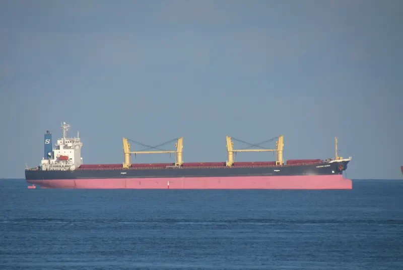 XIE HAI YONG NING Bulk Carrier IMO 9249910 photo 6