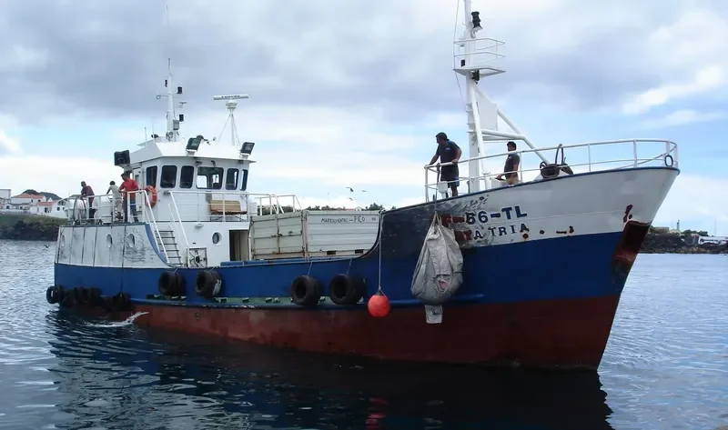 SANTA IRIA Passenger Ship IMO 9249972