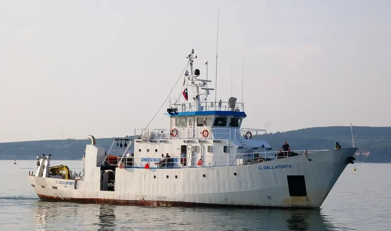 G. DALLAPORTA General Cargo IMO 9250062 photo 8