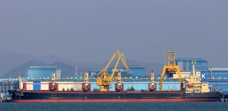MANALAGI TISYA Bulk Carrier IMO 9250139 photo 2