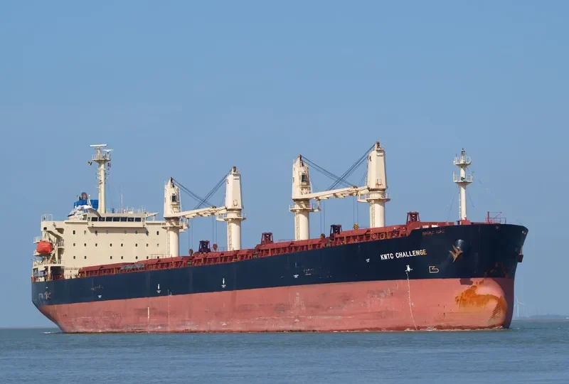 MANALAGI TISYA Bulk Carrier IMO 9250139 photo 9