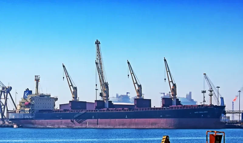 MANALAGI TISYA Bulk Carrier IMO 9250139 photo 10