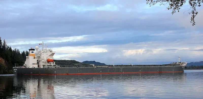 ANGELIC PEACE Bulk Carrier IMO 9250177 photo 4