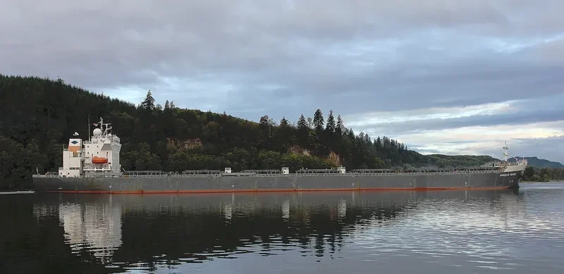 ANGELIC PEACE Bulk Carrier IMO 9250177 photo 5