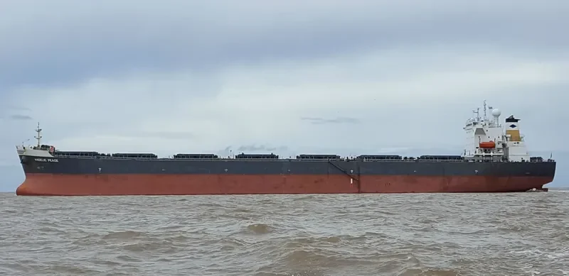ANGELIC PEACE Bulk Carrier IMO 9250177 photo 6