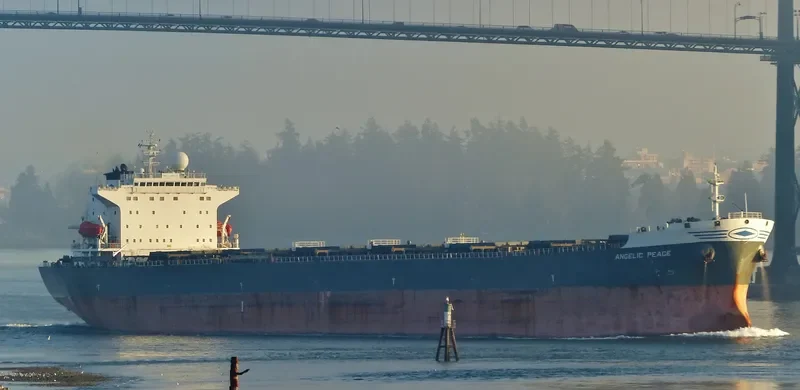 ANGELIC PEACE Bulk Carrier IMO 9250177 photo 10