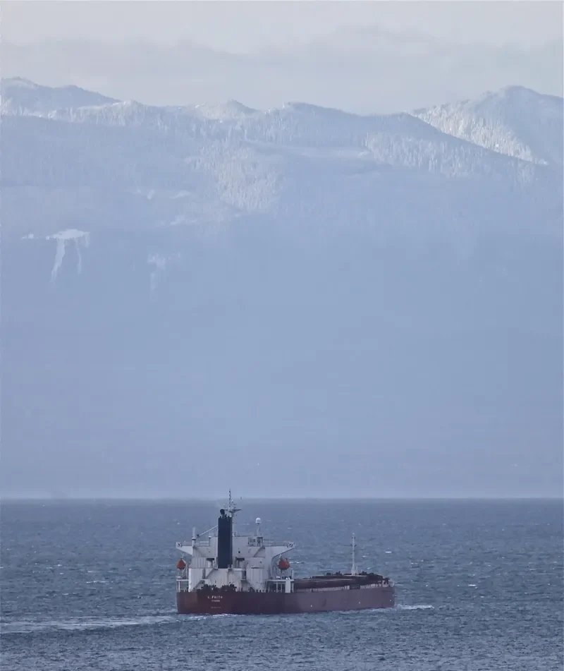 K.FAITH Bulk Carrier IMO 9250309 photo 3