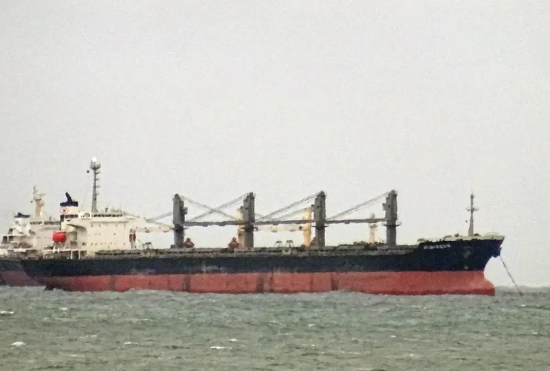 HIBISCUS Bulk Carrier IMO 9250581 photo 3