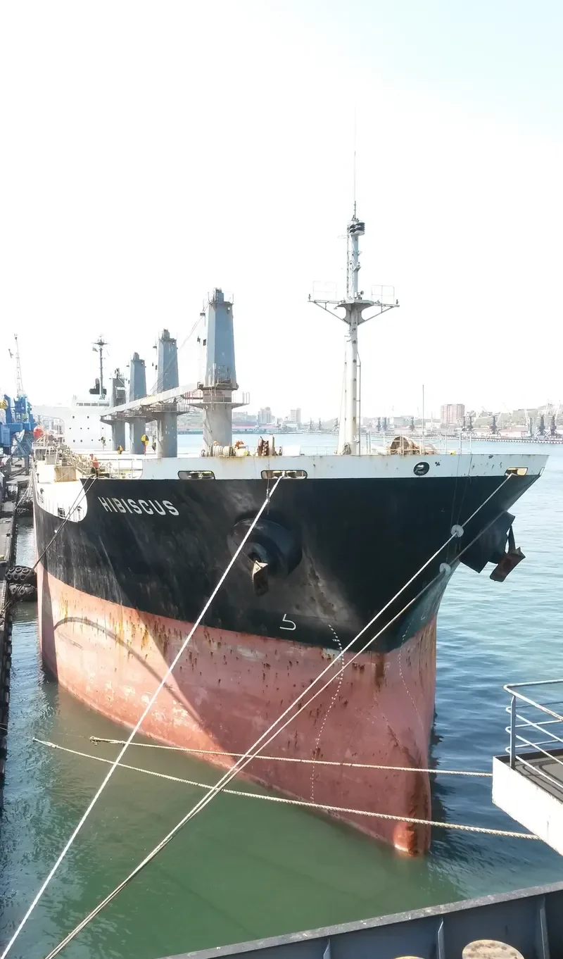 HIBISCUS Bulk Carrier IMO 9250581 photo 6