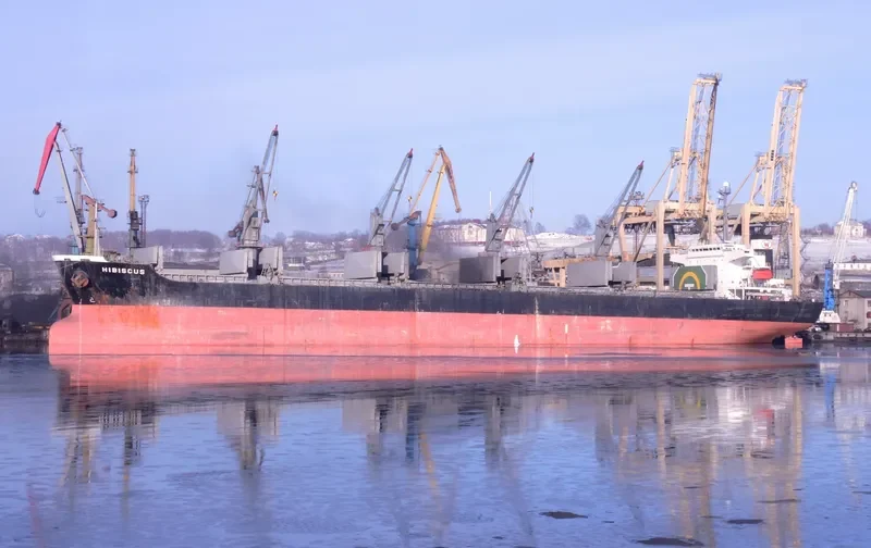 HIBISCUS Bulk Carrier IMO 9250581 photo 7