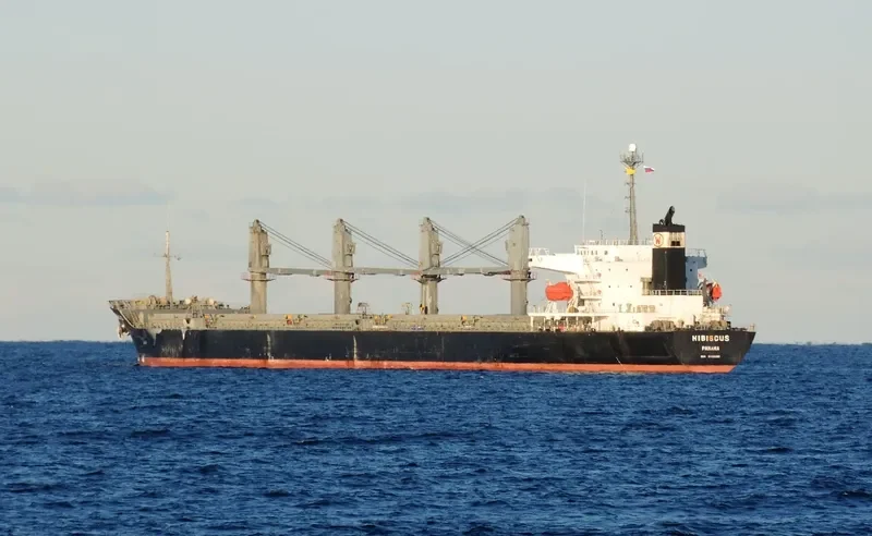 HIBISCUS Bulk Carrier IMO 9250581 photo 8