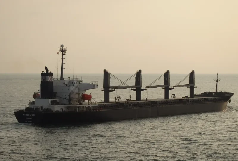 HIBISCUS Bulk Carrier IMO 9250581 photo 9
