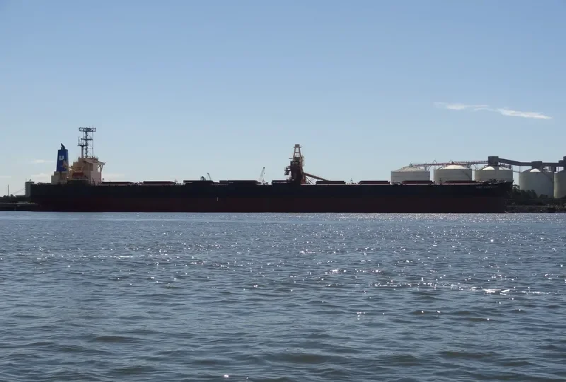 WINNING BROTHER Bulk Carrier IMO 9250610 photo 8