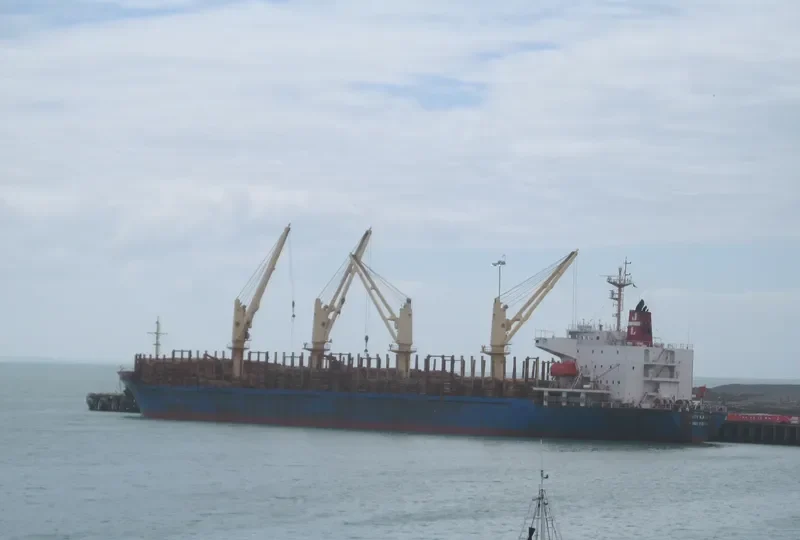 FEISTY KAREN Bulk Carrier IMO 9250701