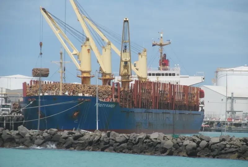 FEISTY KAREN Bulk Carrier IMO 9250701 photo 2