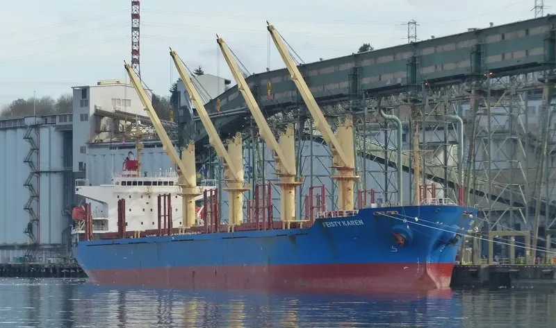 FEISTY KAREN Bulk Carrier IMO 9250701 photo 4