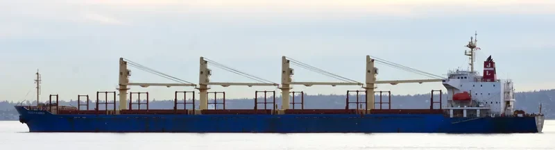 FEISTY KAREN Bulk Carrier IMO 9250701 photo 7