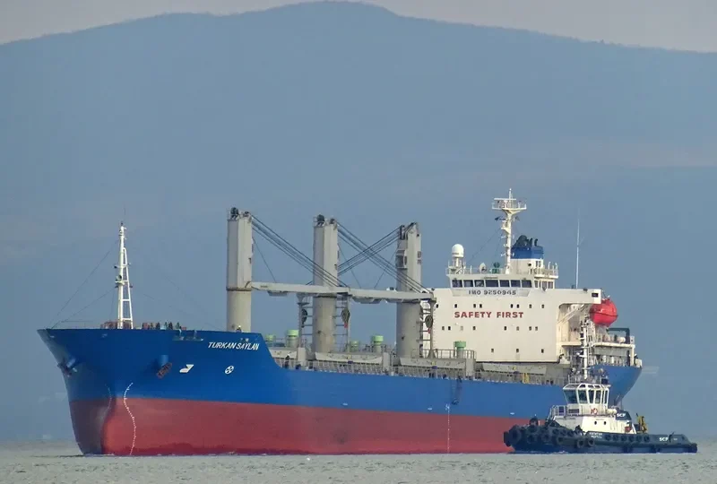 TURKAN SAYLAN Bulk Carrier IMO 9250945 photo 3