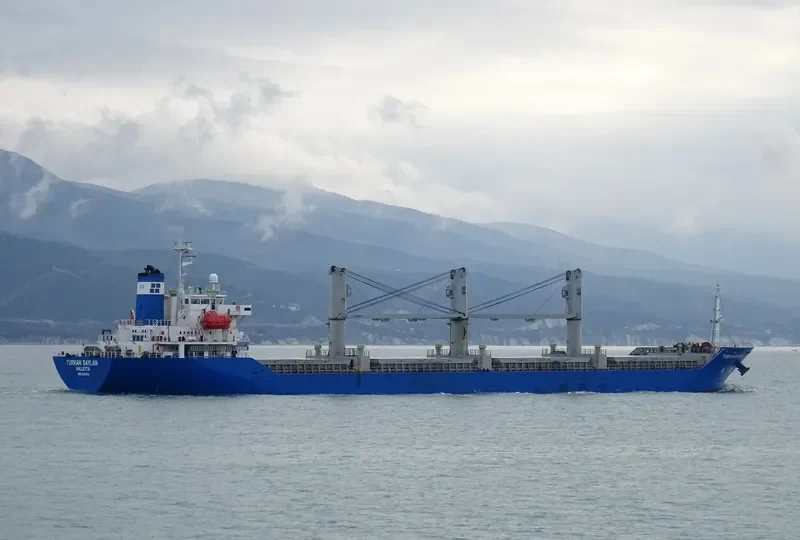 TURKAN SAYLAN Bulk Carrier IMO 9250945 photo 4