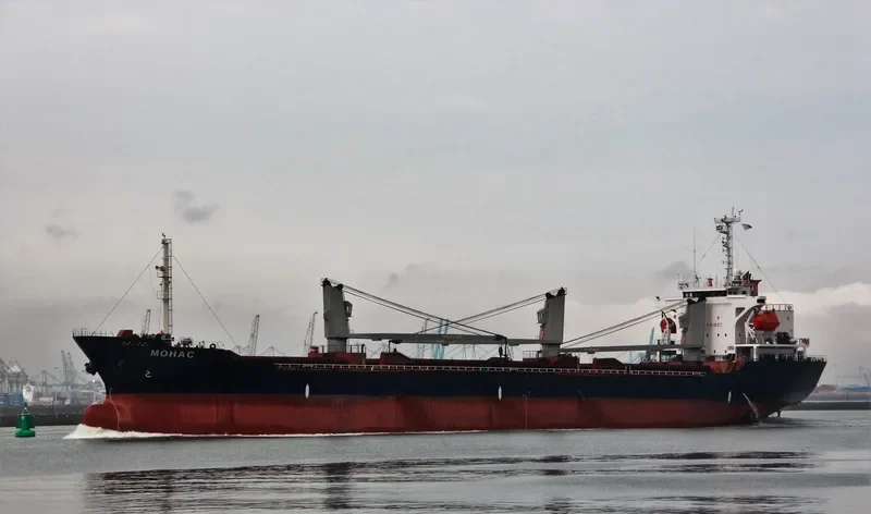 MOHAC Bulk Carrier IMO 9251042 photo 7