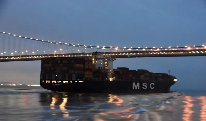 MSC MAUREEN Container Ship IMO 9251717 photo 4