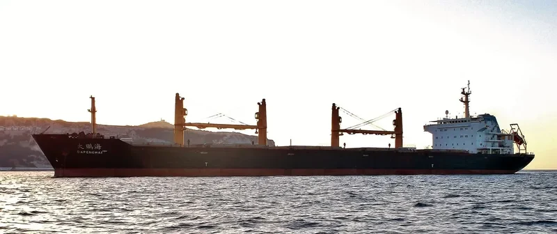 DAPENGHAI Bulk Carrier IMO 9251860 photo 8