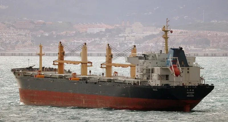 DAYAHAI Bulk Carrier IMO 9251872 photo 3