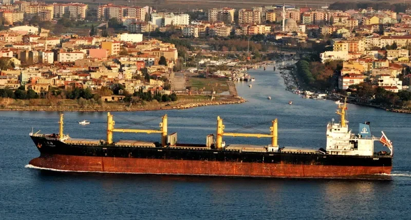 DAYAHAI Bulk Carrier IMO 9251872 photo 10