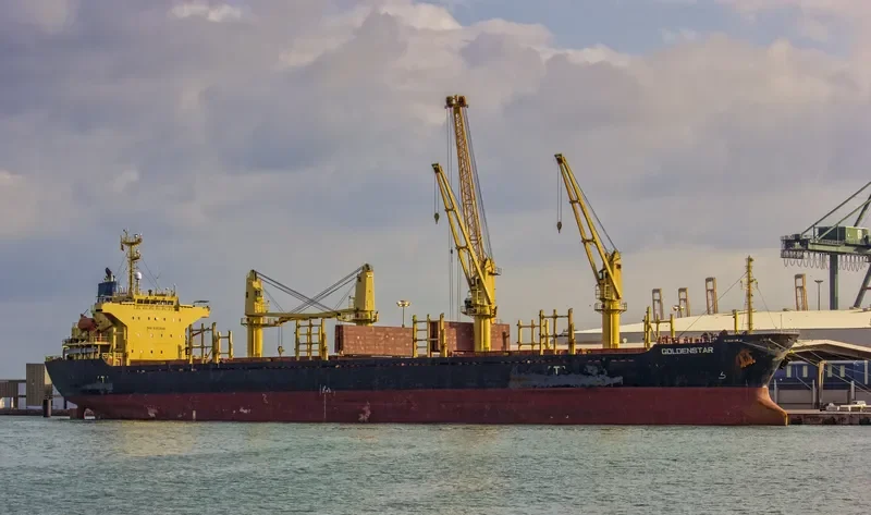 GOLDEN DESTINY Bulk Carrier IMO 9252046 photo 2