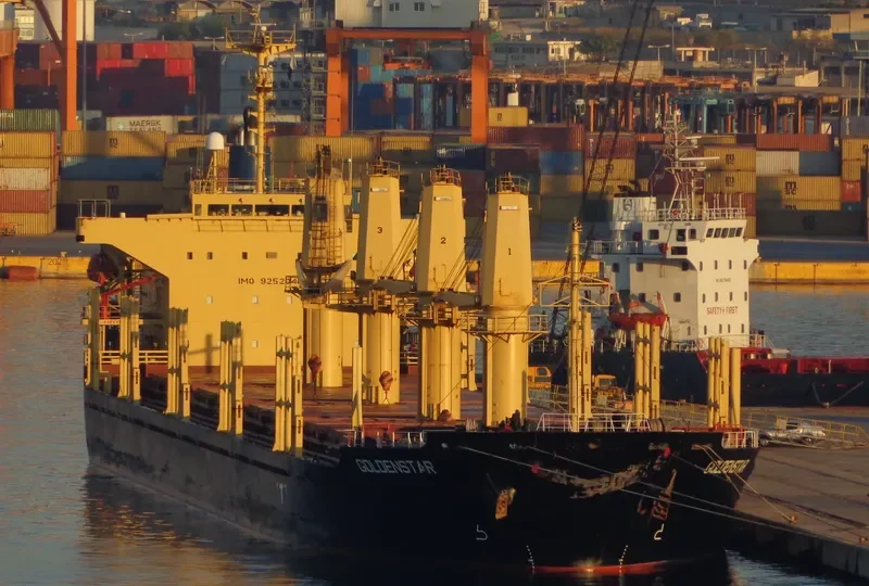 GOLDEN DESTINY Bulk Carrier IMO 9252046 photo 7