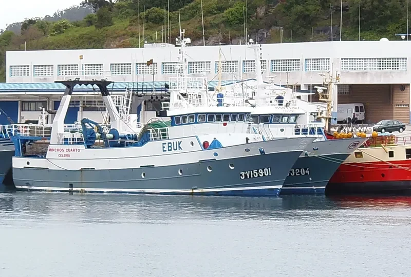 MINCHOS CUARTO General Cargo IMO 9252163