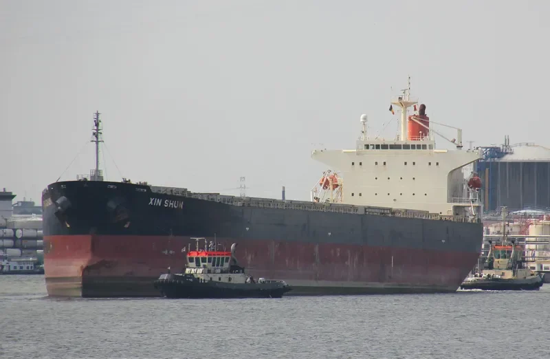 XIN SHUN Bulk Carrier IMO 9252199 photo 2