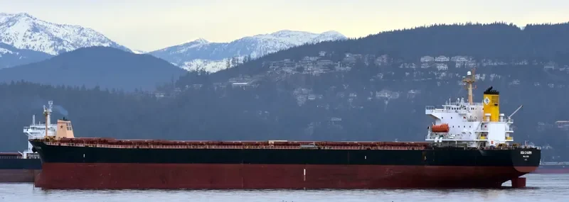 SEA CHARM Bulk Carrier IMO 9252412 photo 2